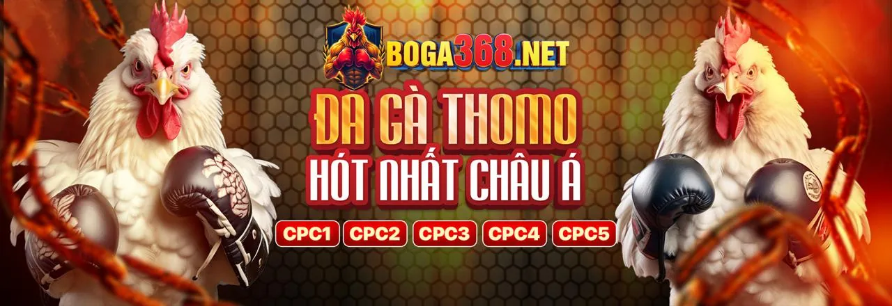 Đa dạng các môn thể thao tại f8bet80 link mới